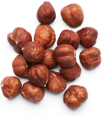 pile of hazelnuts