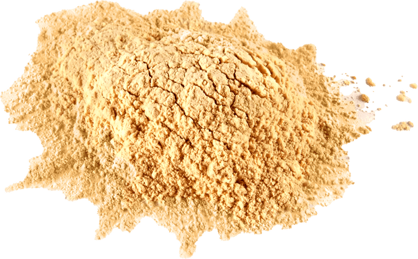 pile of rice protein powder